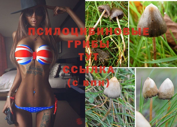apvp Волоколамск