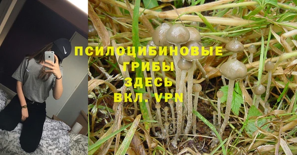apvp Волоколамск