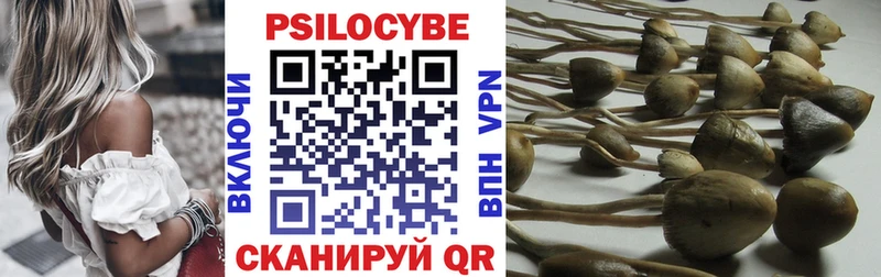 Псилоцибиновые грибы Cubensis маркетплейс состав Выборг