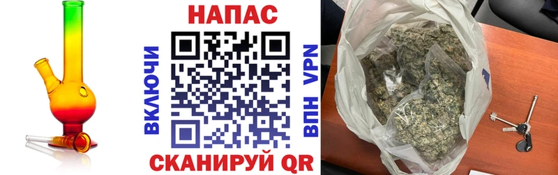 Бошки Шишки марихуана  Выборг 